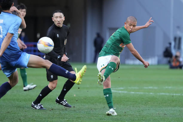 有可能获得 有可能获得