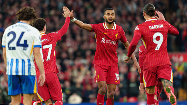 激动人心的 激动人心的