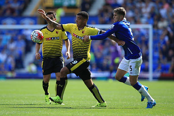 的完美结合 的完美结合